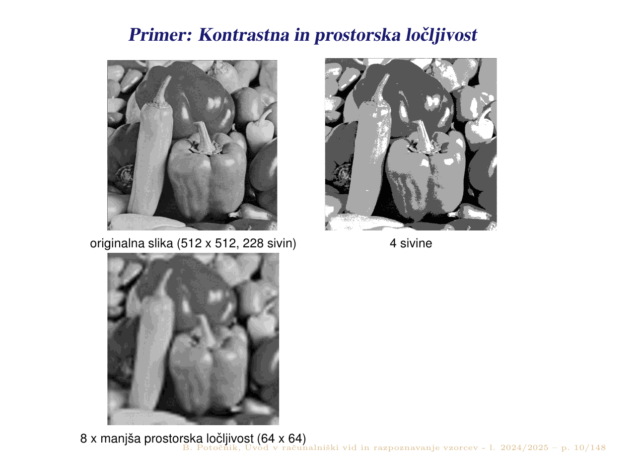 Prosojnica 10